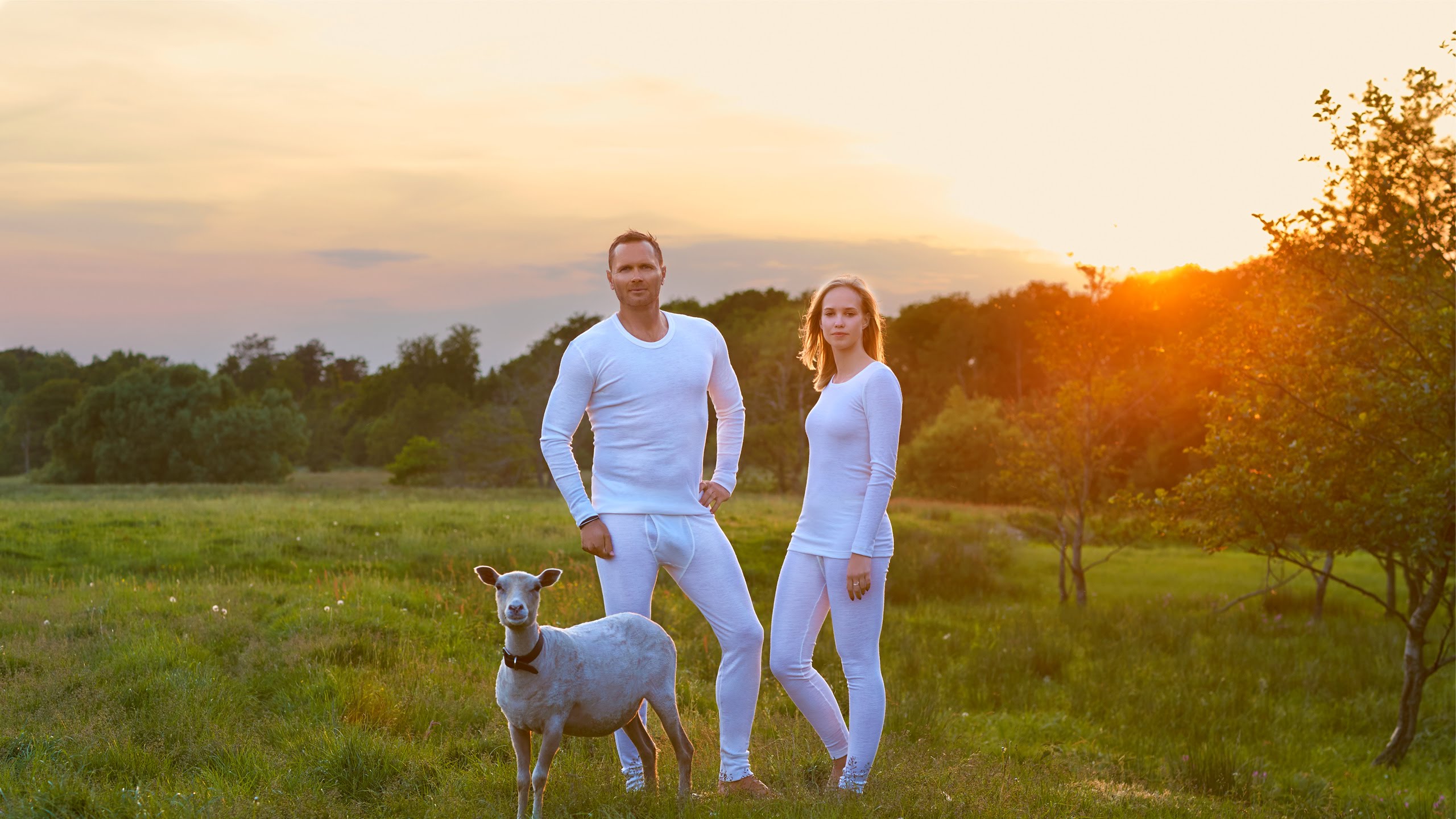 Dilling: Clean Underwear for the whole family