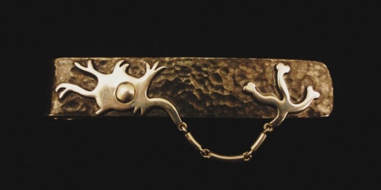 Jeweler’s Art Meets Neuroscience