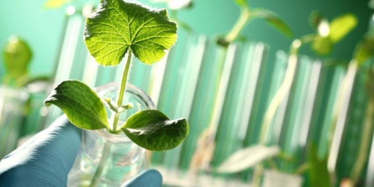 Photo Credit: My Green Lab