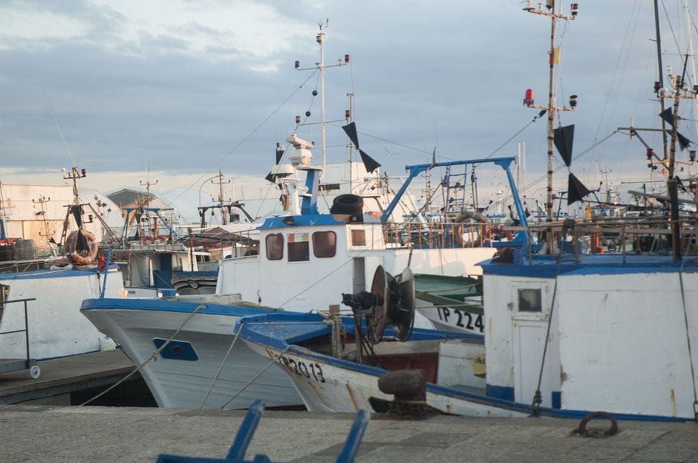 Photo Credit- Daniel Rossi1