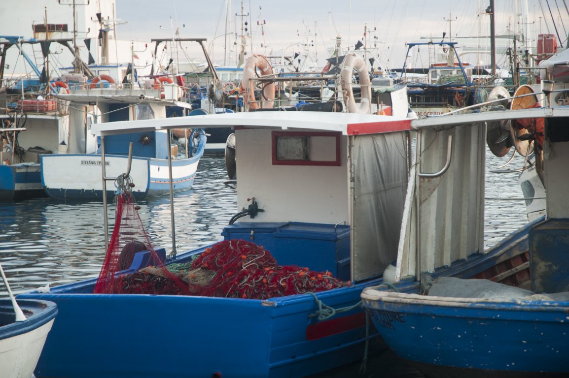 Taking Responsibility for our Oceans: Policies and solutions