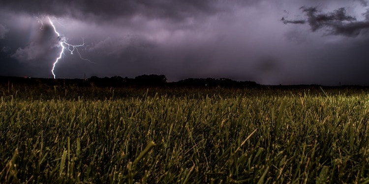 WORLD OF WONDER, WORLD OF REASON