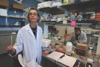 Catherine Pujol-Baxley, director of research and development for KnipBio in the M2D2 at 110 Canal in the Hamilton Canal District, showcases her lab. See video and a slide show at lowellsun.com. SUN/Julia Malakie