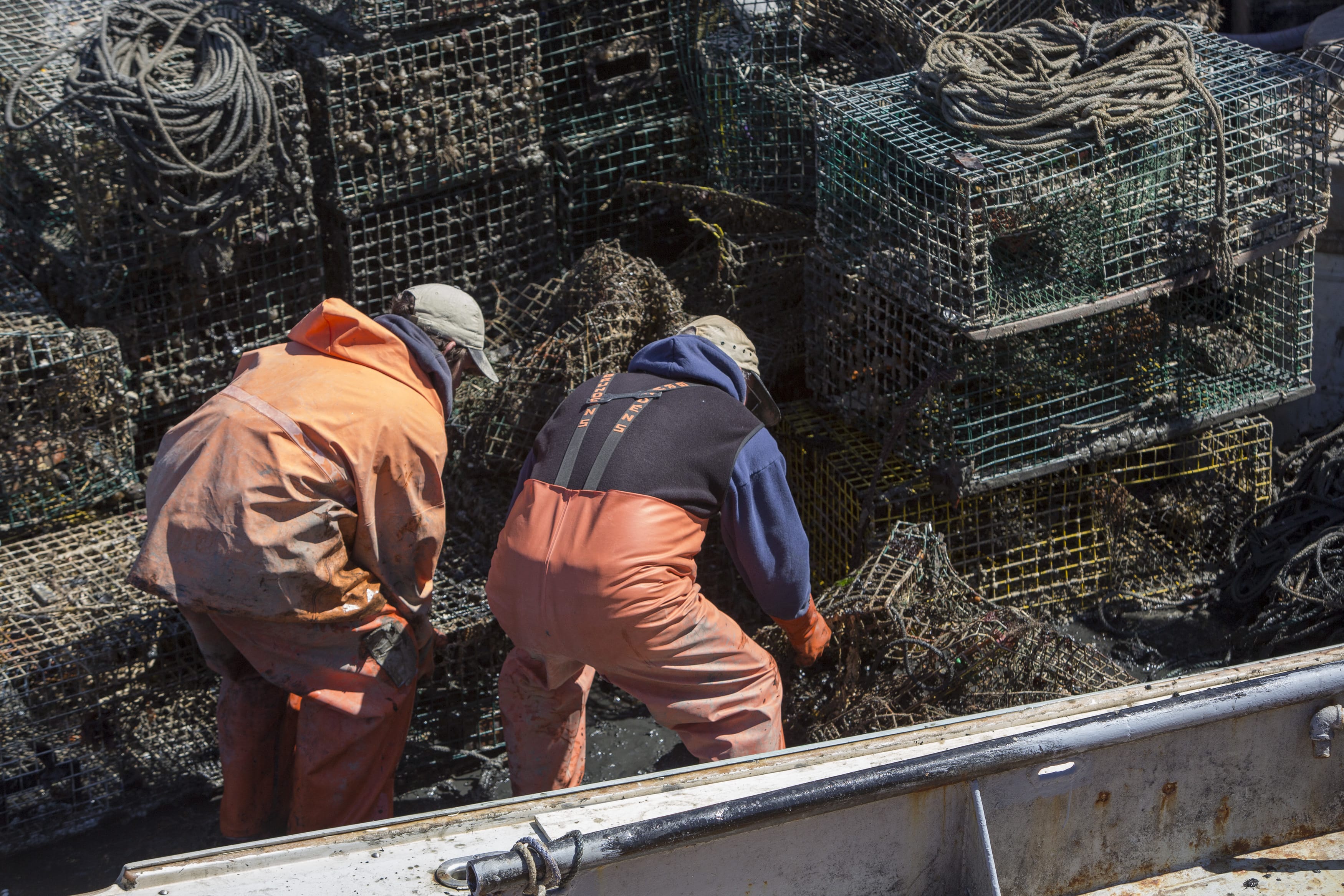 Sea warrior women protecting marine life from ghost gear