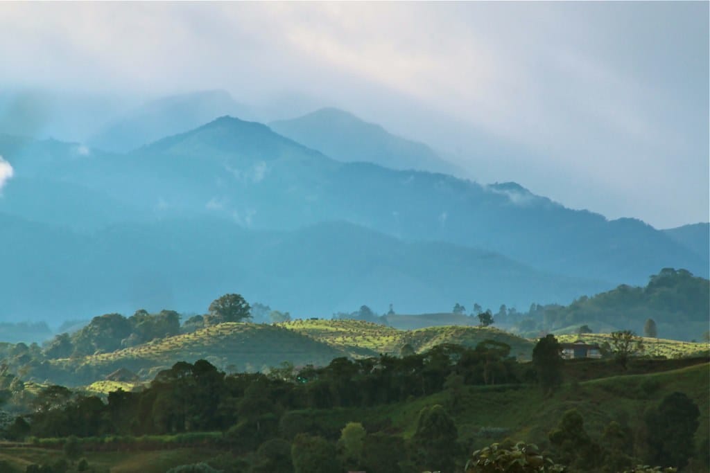 WHY AGRICULTURAL BUSINESSES ARE ENGINES OF SUSTAINABLE GROWTH