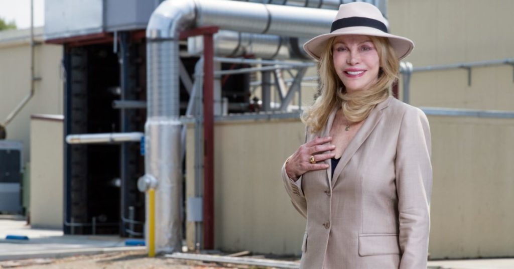 The Global Thermostat can fight climate change. Interview with Graciela Chicilnisky