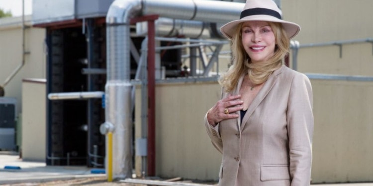 The Global Thermostat can fight climate change. Interview with Graciela Chicilnisky