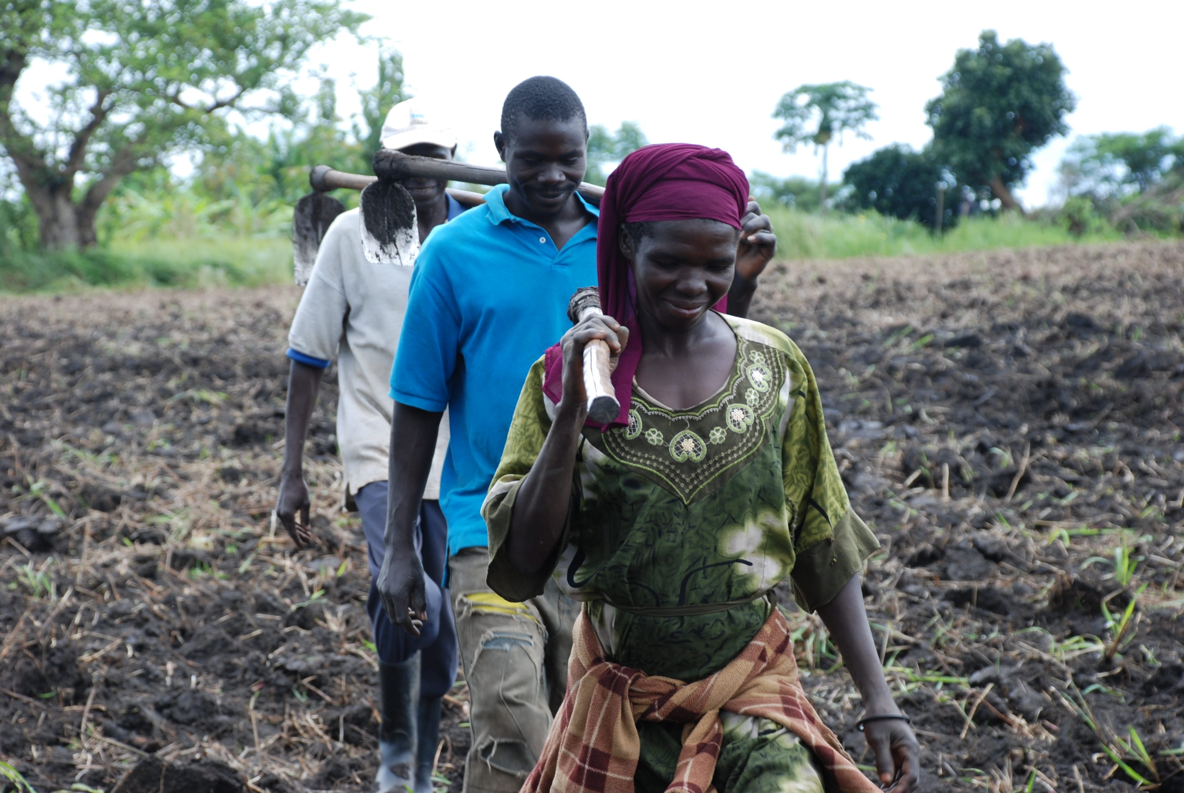Can Sustainable Agriculture Mitigate Massive Youth Migration in Africa?
