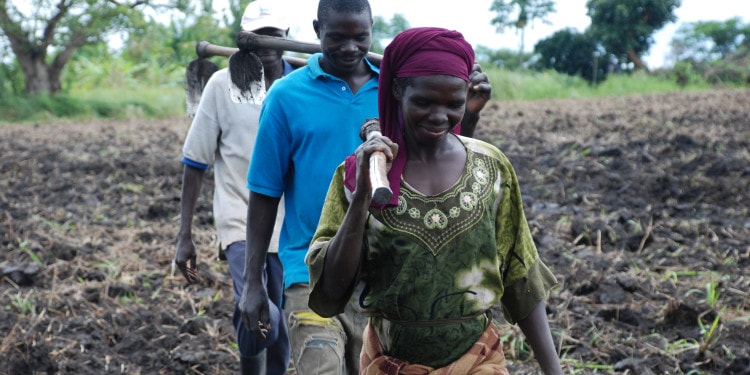 Can Sustainable Agriculture Mitigate Massive Youth Migration in Africa?