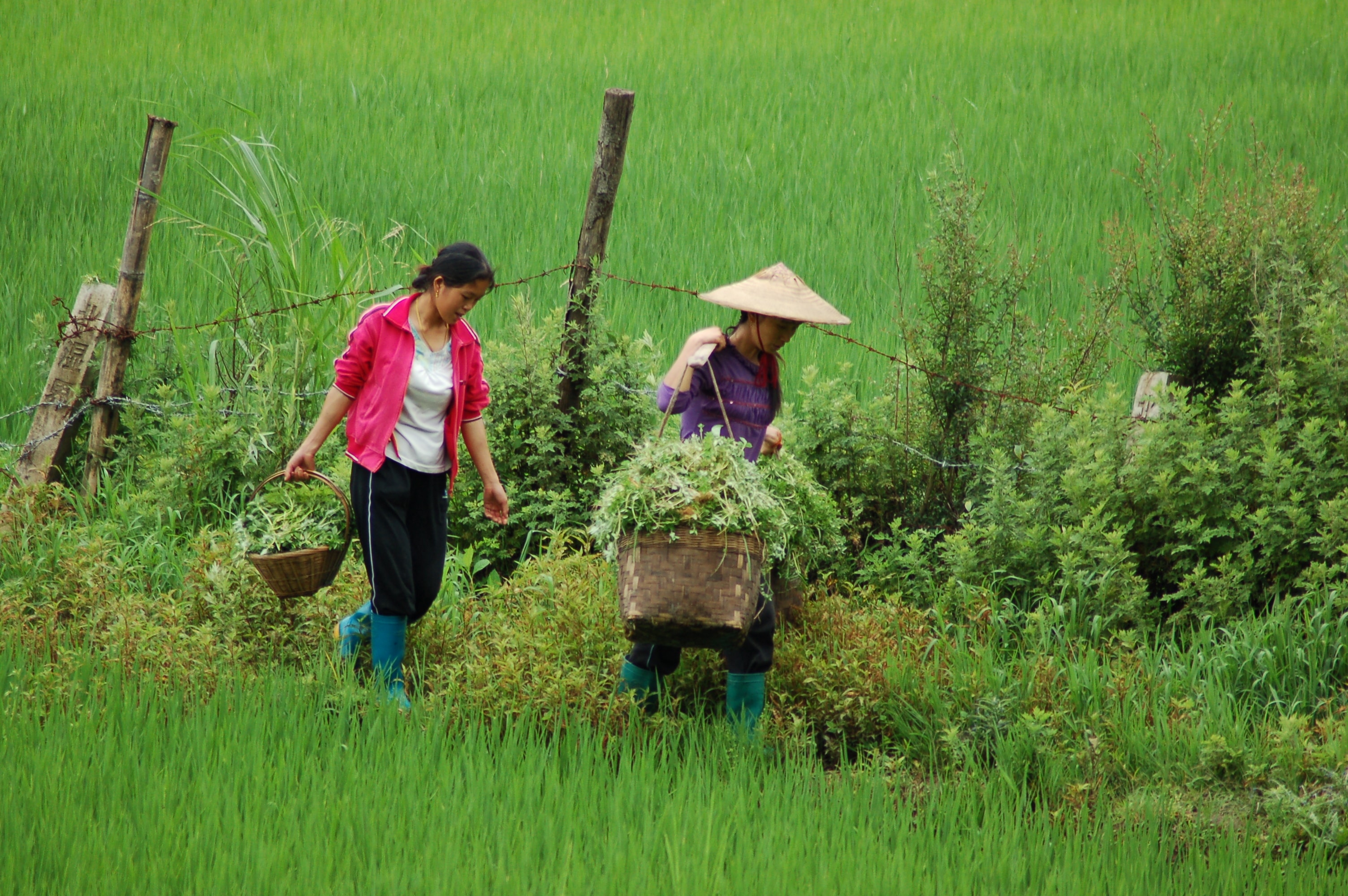 Sustaining Sustainable Development: Leveraging Human Rights Norms to Implement Land-related Goals