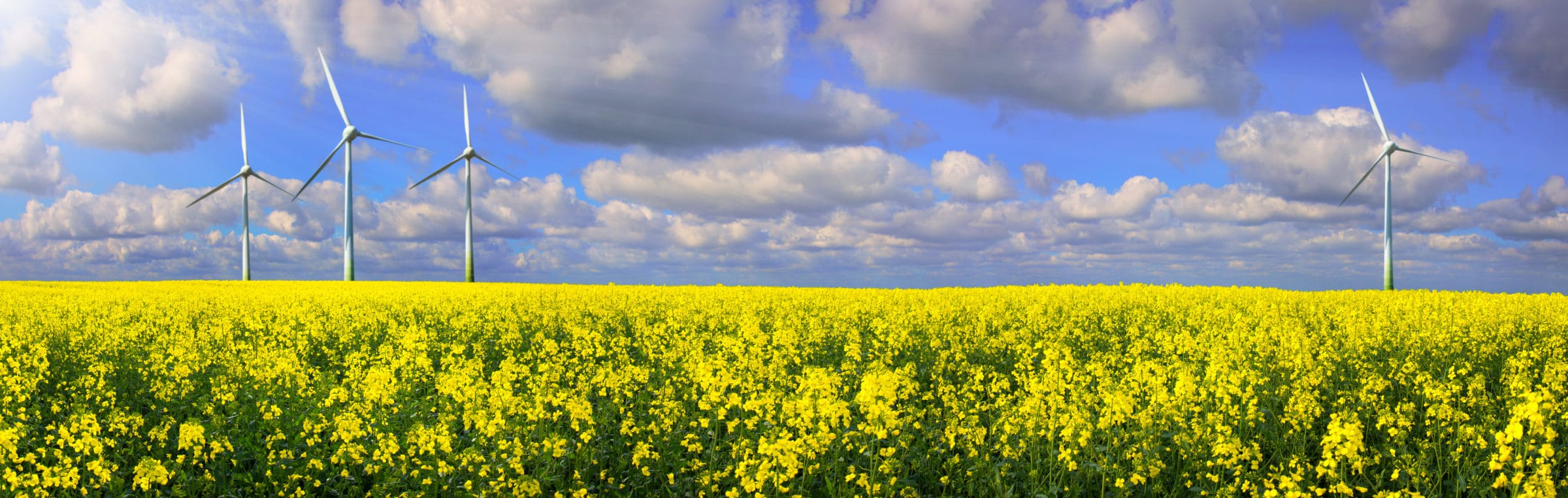 The Road to Smarter Renewable Energy