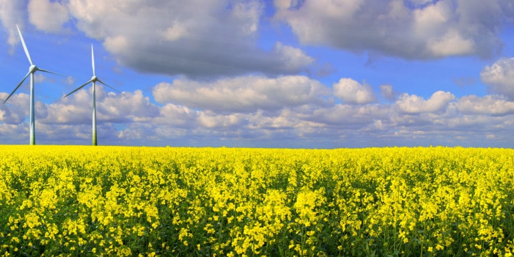 The Road to Smarter Renewable Energy