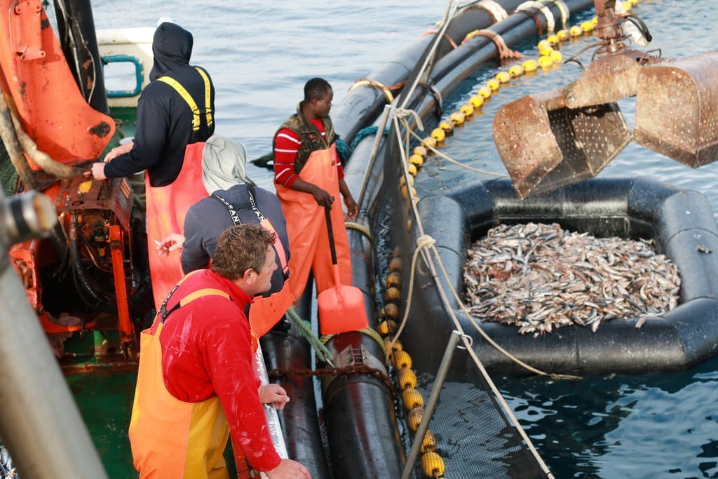 Refugees: Why they are not an economic burden