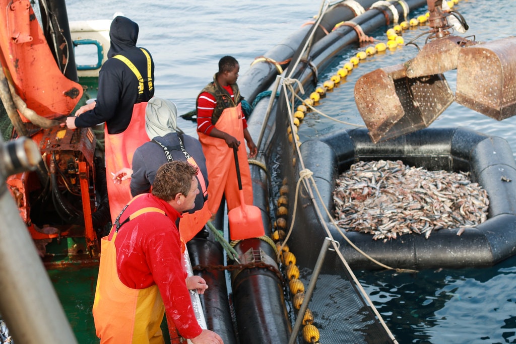 Refugees: Why they are not an economic burden