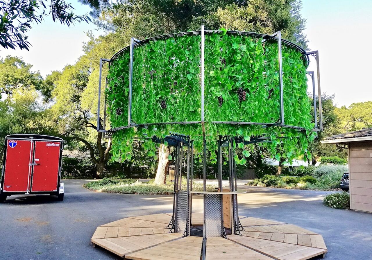 tree-inspired bar