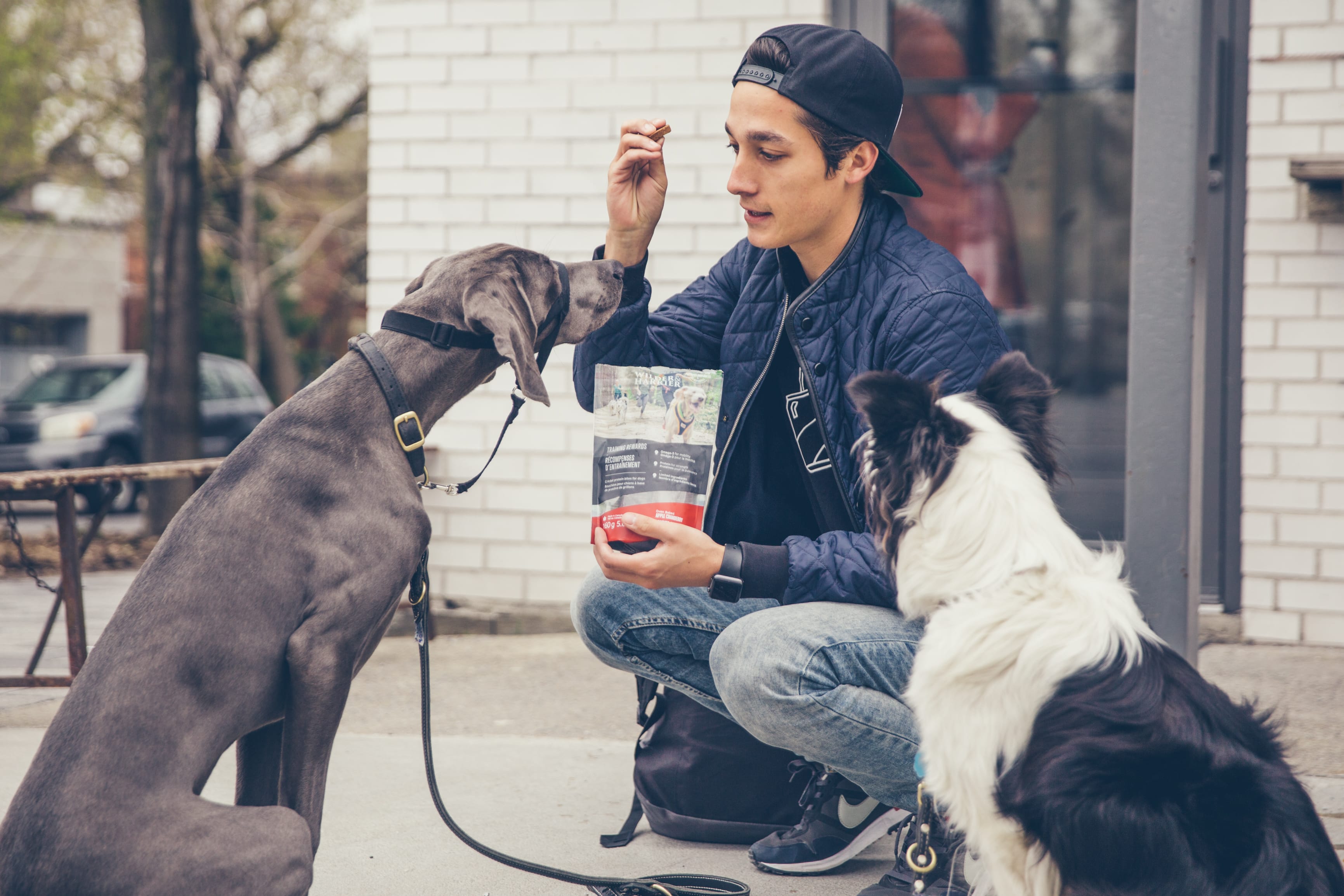 Wilder & Harrier: Innovative and Sustainable Pet Food