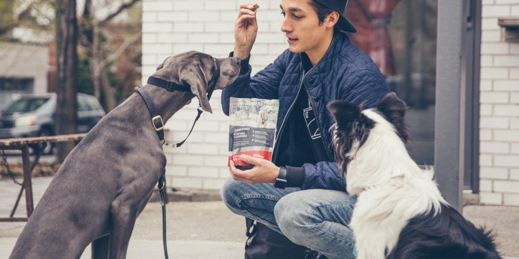 Wilder & Harrier: Innovative and Sustainable Pet Food