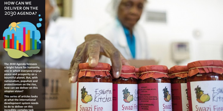 Beyond financing: getting private sector support for sustainable development right