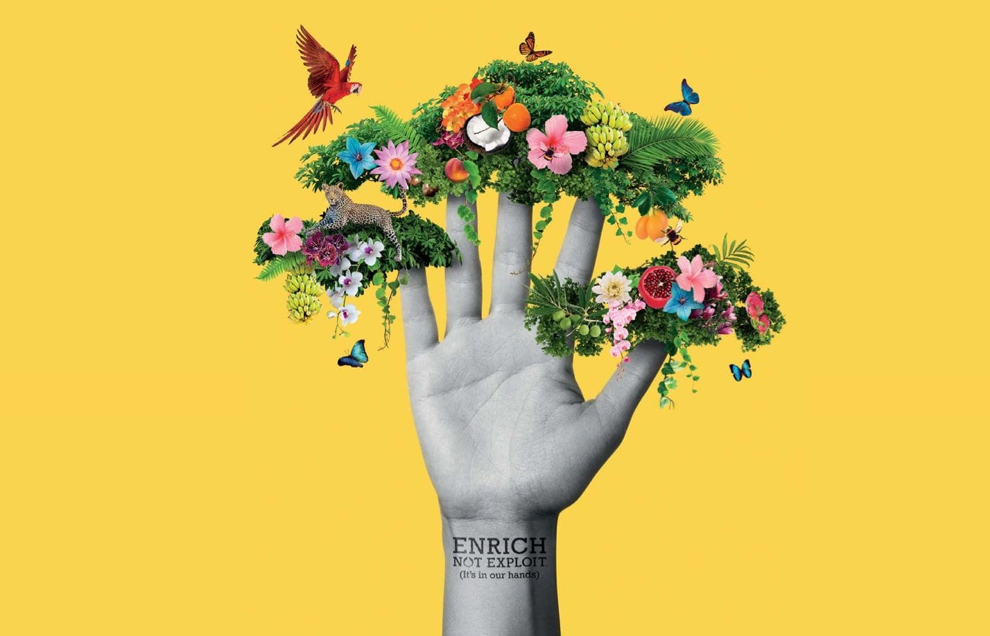 The Body Shop: Challenging the Future