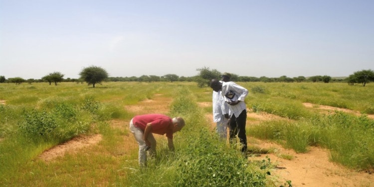 Ecosia, the sustainable search engine – A deep dive into our future