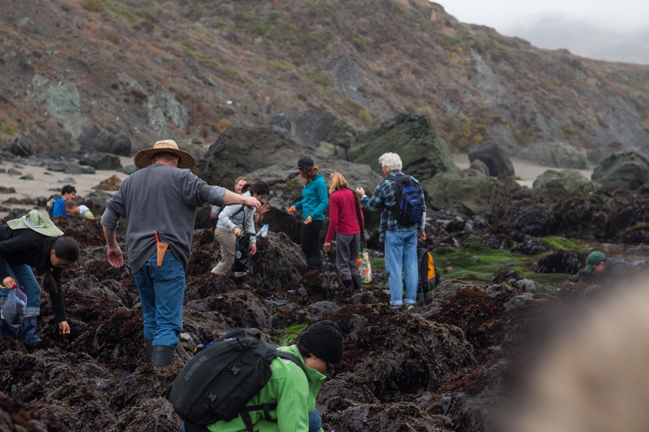 Foraging for Sustainability