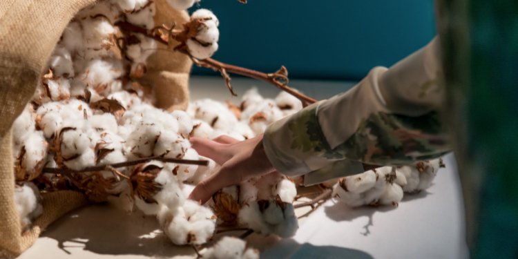 Kering: How a Global Luxury Group Becomes a Sustainability Leader