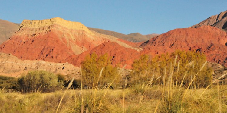 The Andean Region: a place to conserve