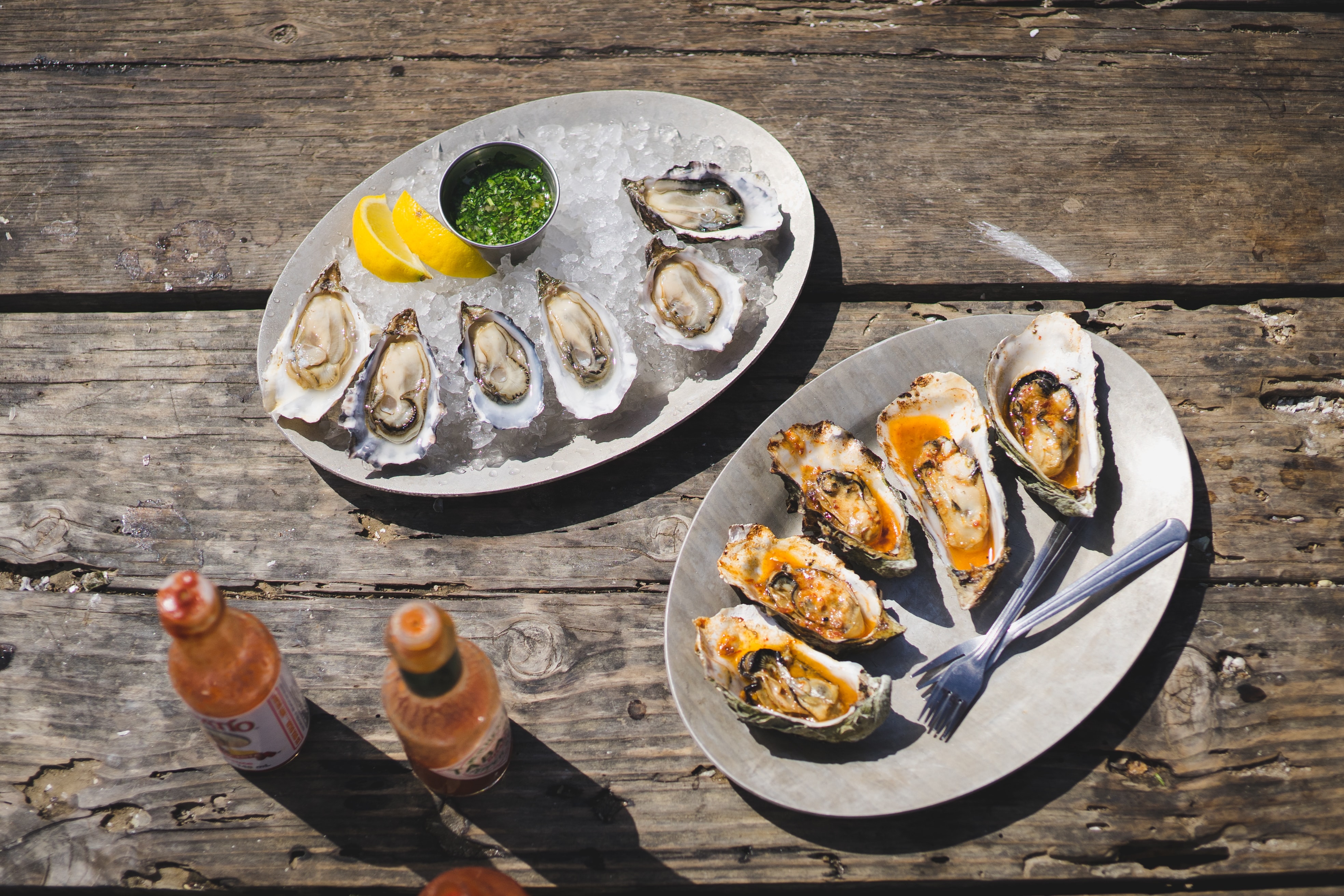 Hog Island Oyster Company, A Leader in Sustainable Aquaculture