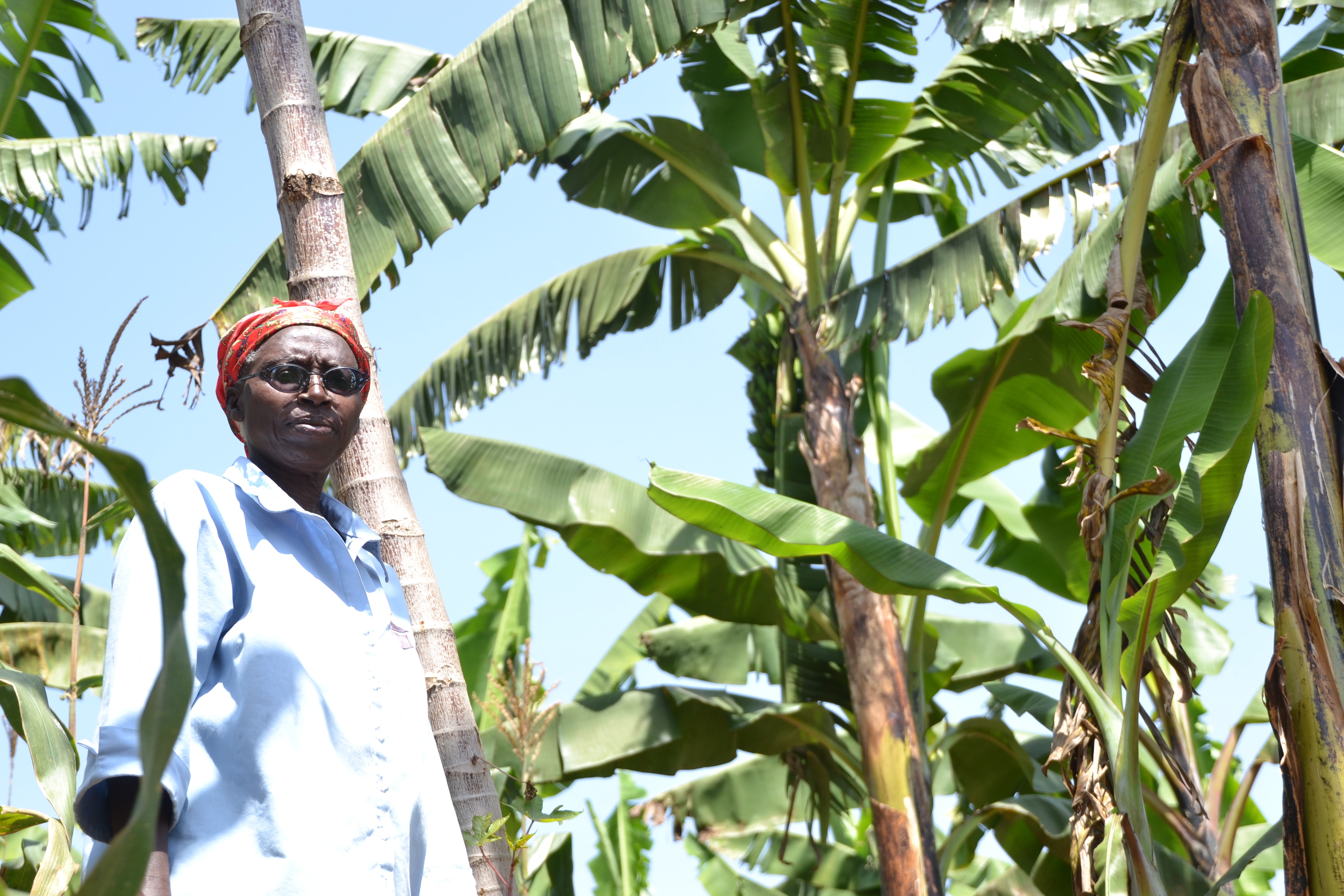 How do we Reframe Agriculture? The case of Uganda