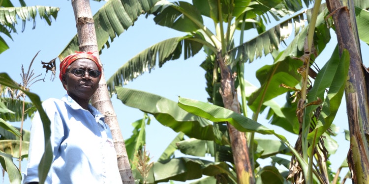 How do we Reframe Agriculture? The case of Uganda