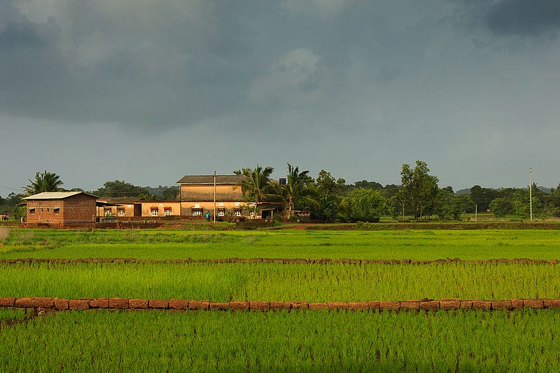 ICAR and Its Institutes: A Fascinating 128 Year Journey, and We Are Asking For More…