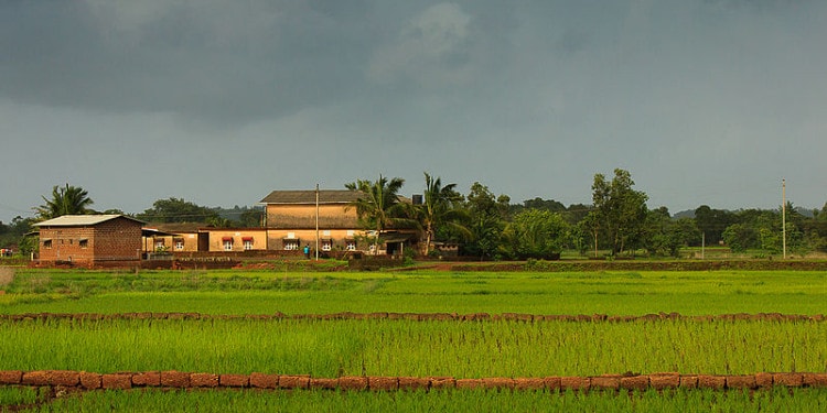 ICAR and Its Institutes: A Fascinating 128 Year Journey, and We Are Asking For More…