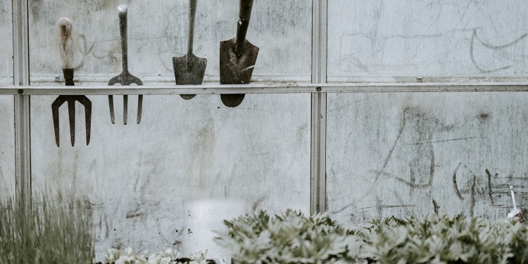 AVA Initiative: Growing Our Own Food Beyond Subsistence in Nigeria