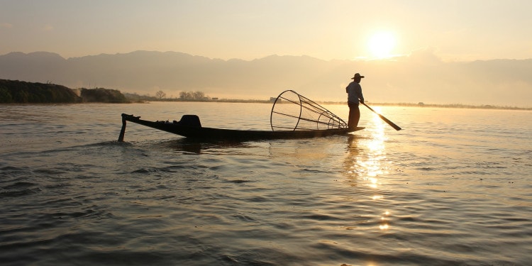 mKrishi Fisheries: Sea in Your Hand
