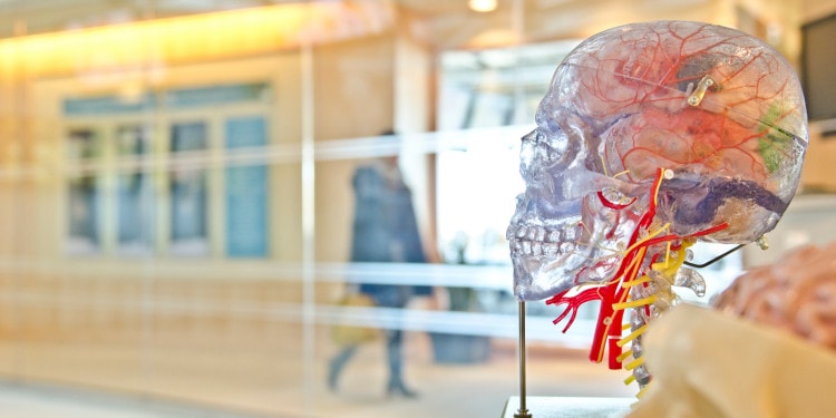 The Neuroscience of Philanthropy