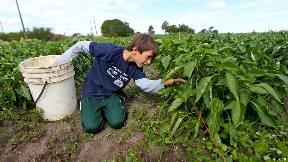 The Need for Decent Work in the Land of Plenty