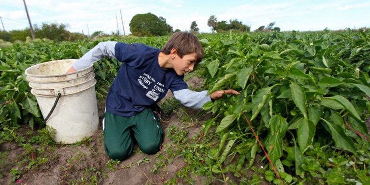 The Need for Decent Work in the Land of Plenty