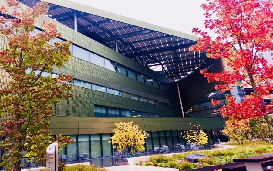 New York DNA between Art, Architecture and Urban Green