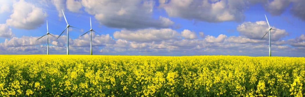 THE ROAD TO SMARTER RENEWABLE ENERGY