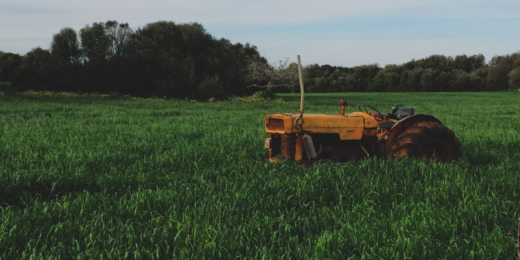 Despite Spiking Hunger Numbers, Investments in Agriculture Continue to Decrease