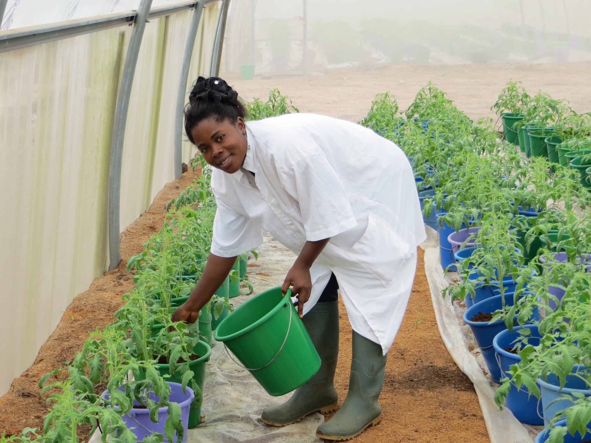 Agriculture - Ending Zero Hunger