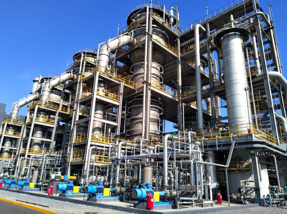 Fueling the Future: How a New Bioeconomy is Supporting Climate Action – and More