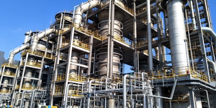 Fueling the Future: How a New Bioeconomy is Supporting Climate Action – and More