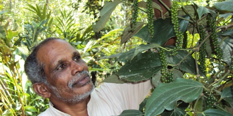 The Commercialization of Farmers’ Innovation: Farming Innovators and Rural Entrepreneurs