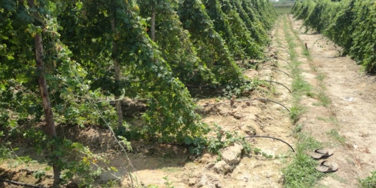 The Importance of Community Participatory Approach: Water and Food Security Programmes