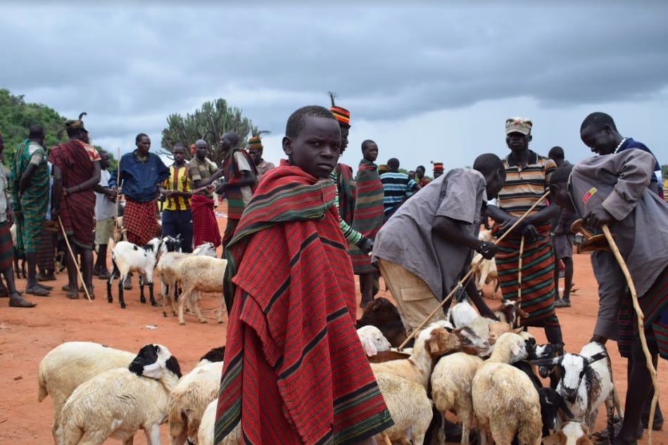 Mobile Pastoralists: The Challenge of Livestock Markets in Karamoja Uganda