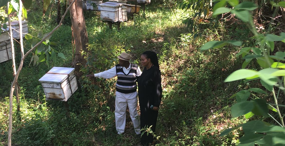 Chabana Farms – An Agribusiness from Africa with SDGs at Heart