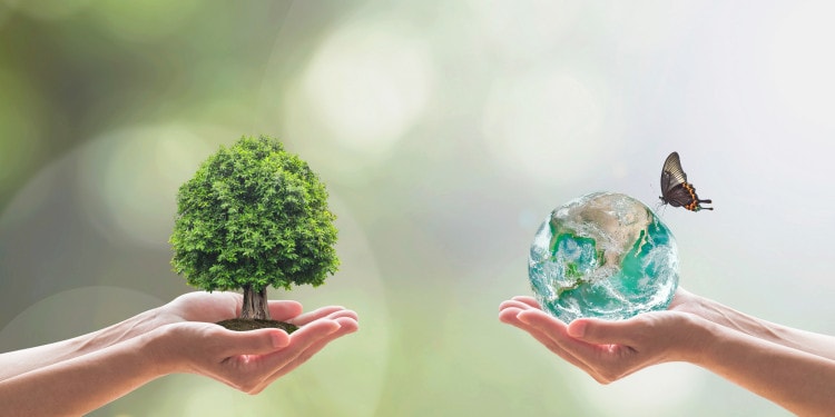 How Will We Finance the New Deal for Nature?