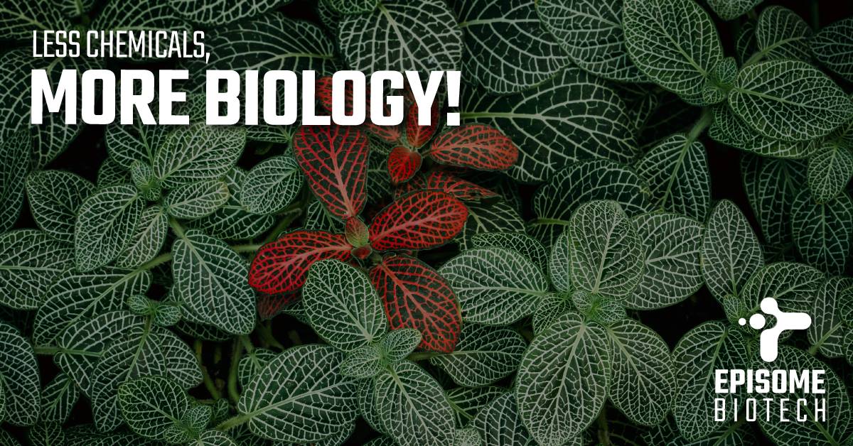 One’s Waste, Another’s Treasure: An Interview With Episome Biotech