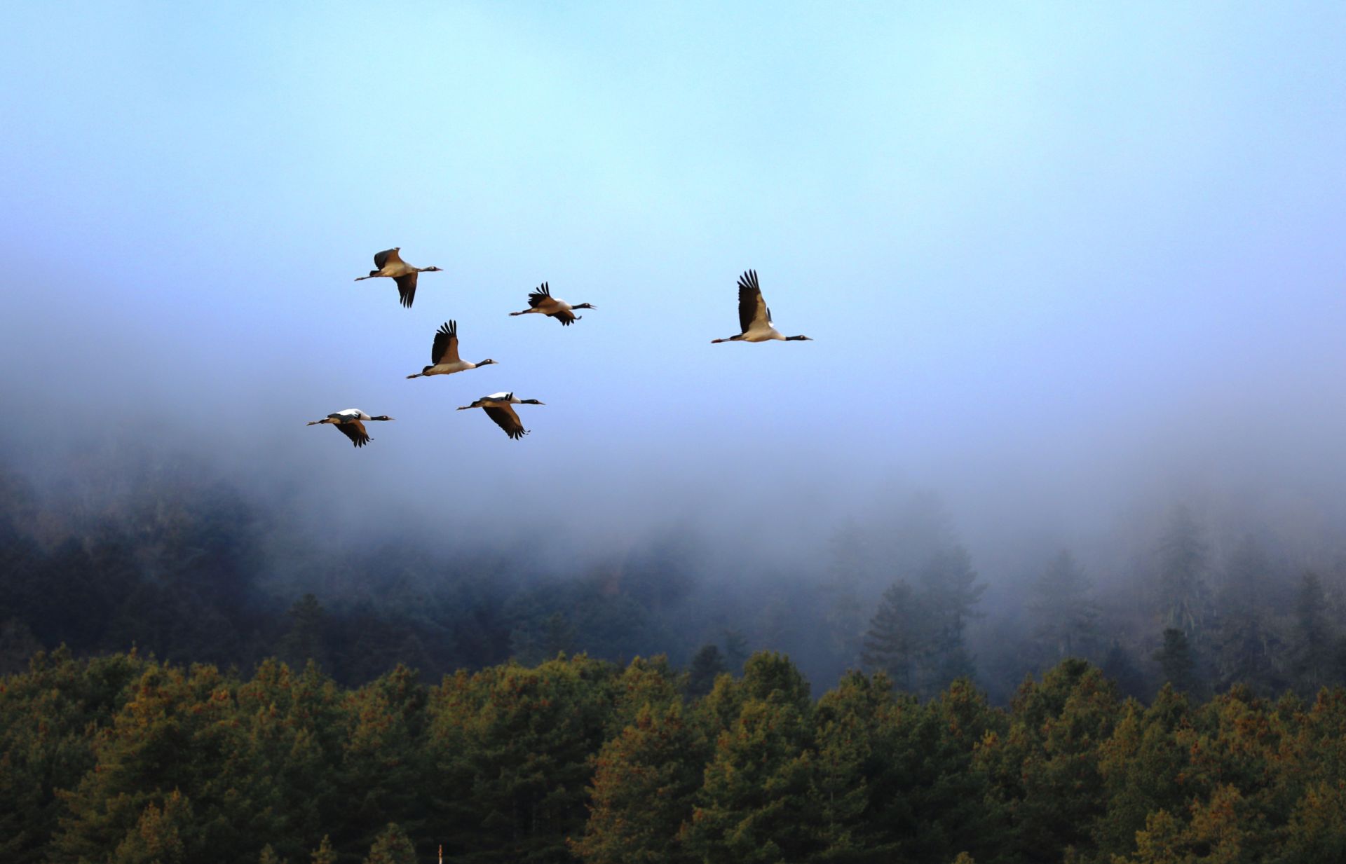 Happiness Needs to Be Financed Too – A New Generation of Conservation Finance in Bhutan